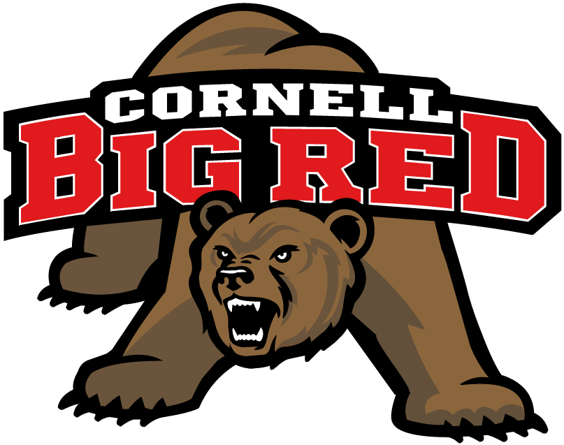 Cornell Big Red 1998-2001 Primary Logo diy iron on heat transfer